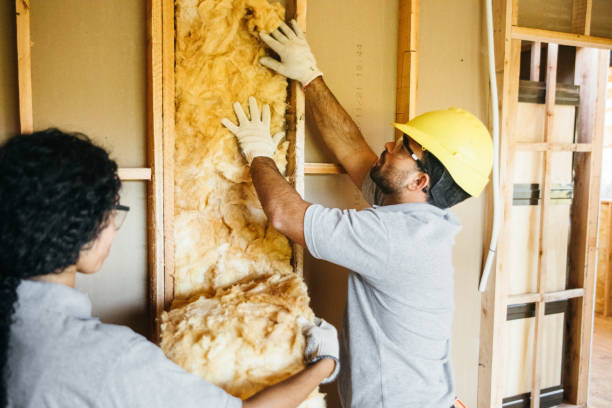 Best Insulation for Commercial Buildings  in Cypress Quarters, FL