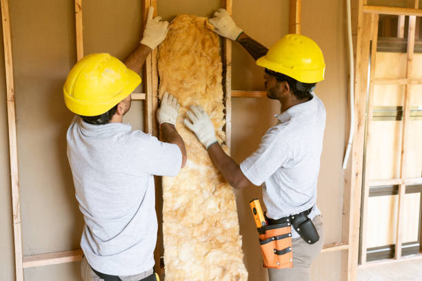 Best Insulation Repair Services  in Cypress Quarters, FL