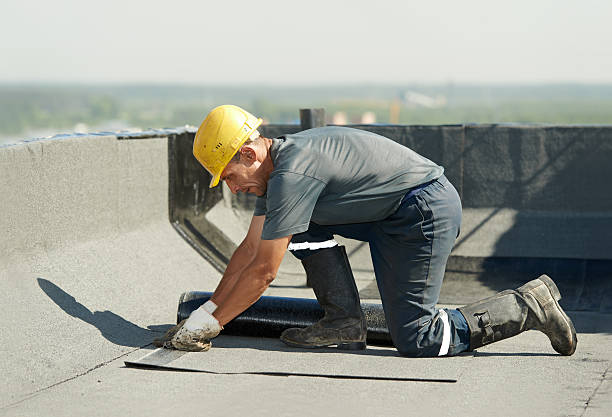Best Home Insulation Services  in Cypress Quarters, FL