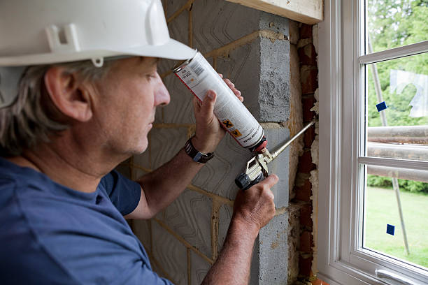 Best Insulation Replacement Services  in Cypress Quarters, FL