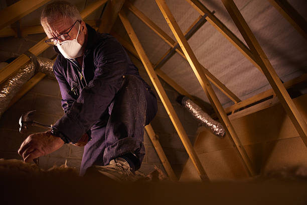 Best Spray Foam Insulation  in Cypress Quarters, FL