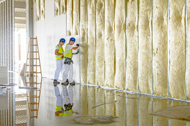 Best Residential Insulation Services  in Cypress Quarters, FL